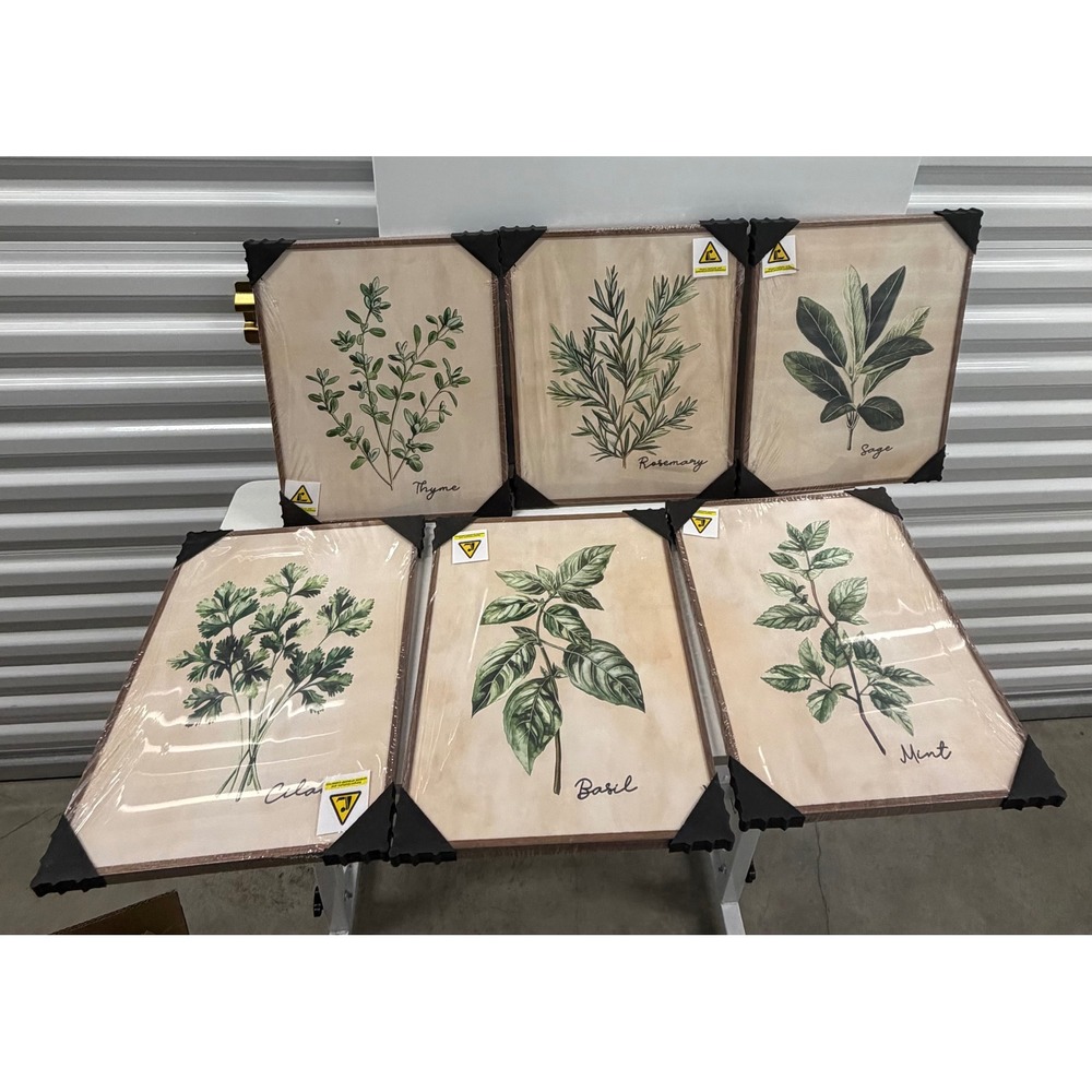 6pc Framed Botanical Herb Wall Art Set Kitchen Decor Basil Thyme Mint 11x14 NEW